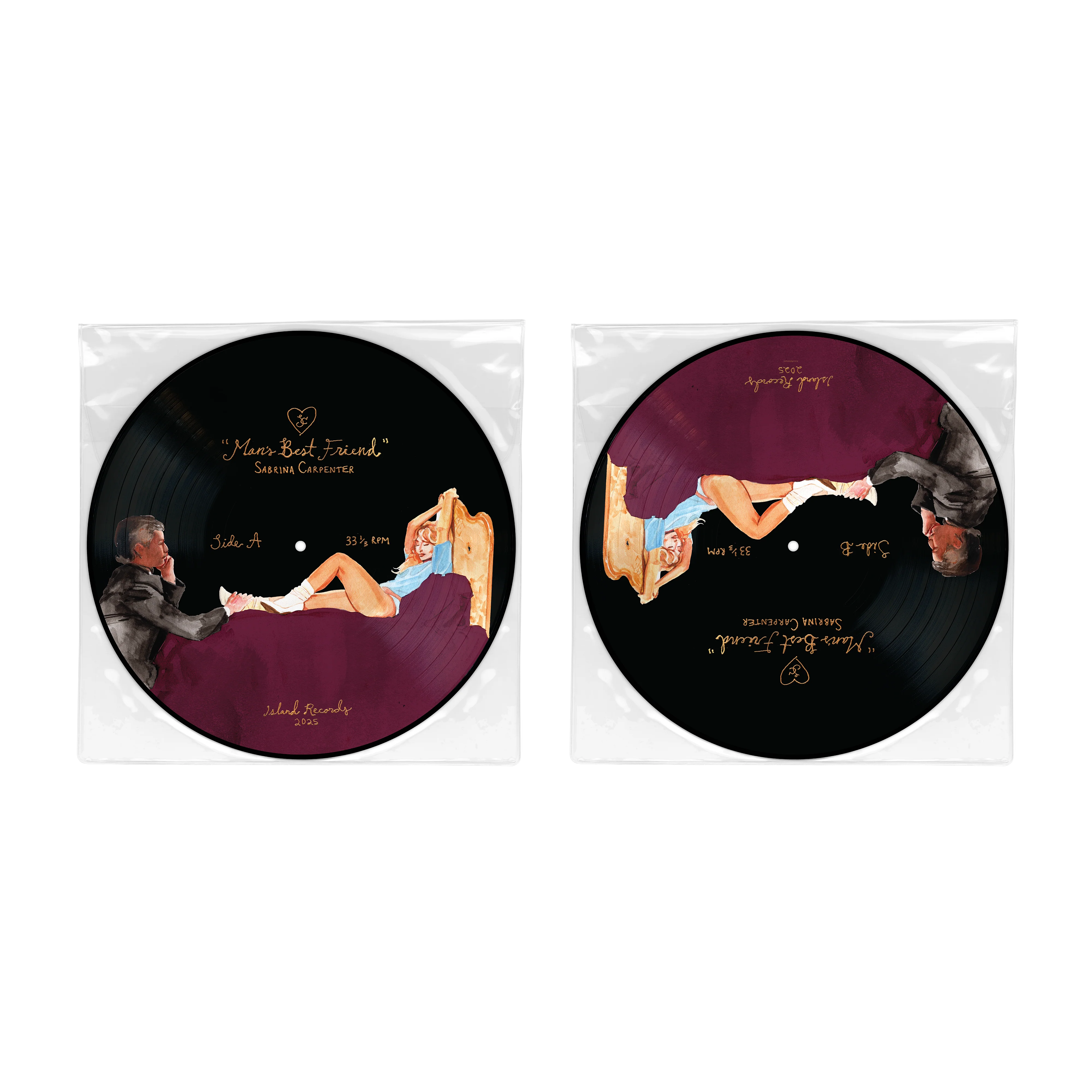 ansestriendpicturedisc176228468897.webp